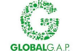 GLOBALG.A.P. c/o FoodPLUS GmbH