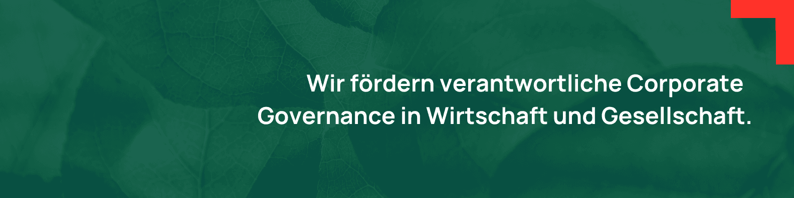 Berliner Institut für Leadership & Governance e.V.